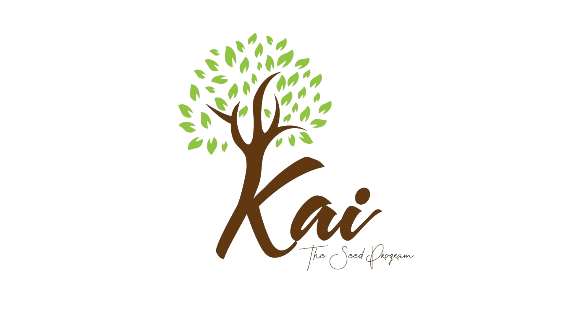 Welcome - The Seed Program by Kai