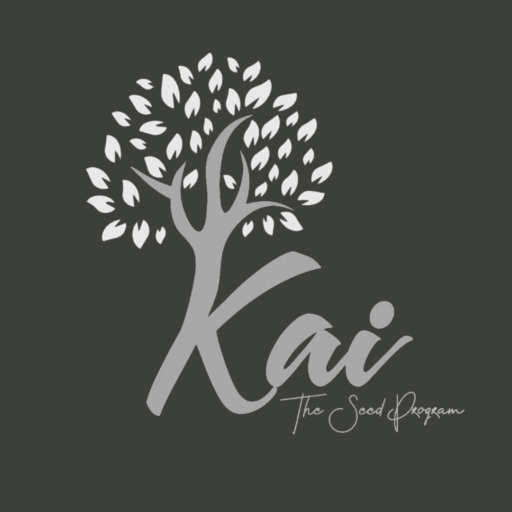 The Seed Program by Kai